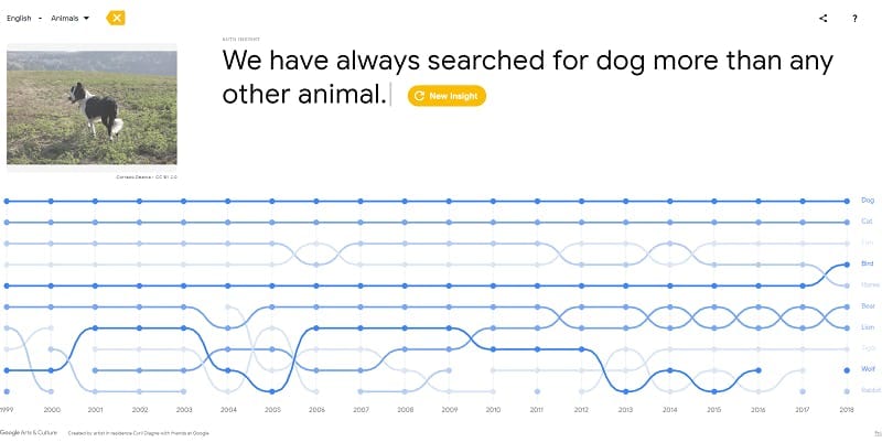 Visualización de las principales tendencias de búsqueda de animales de los últimos 20 años, con los perros en la parte superior y los gatos a continuación, seguidos por los peces.