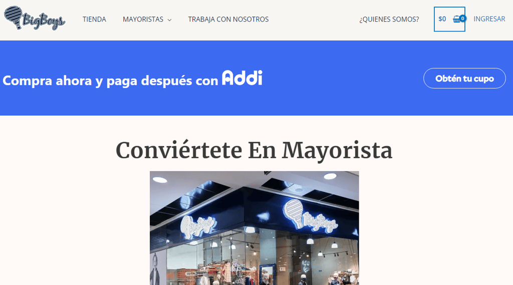 bigboys mayorista